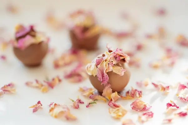 Bet24star Casino Android/iOS App